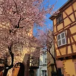 Travel Homes - Tanneur 6, Heart Of Petite Venise * Colmar