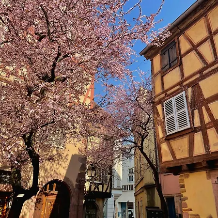 Travel Homes - Tanneur 6, Heart Of Petite Venise * Colmar
