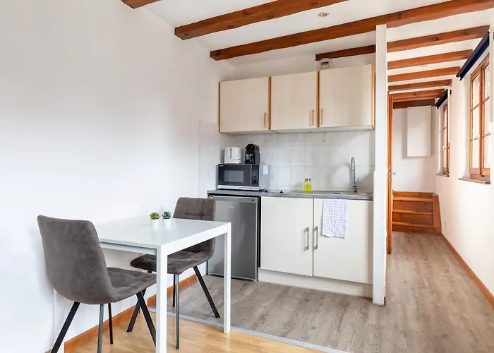 Travel Homes - Tanneur 6, Heart Of Petite Venise Apartment Colmar