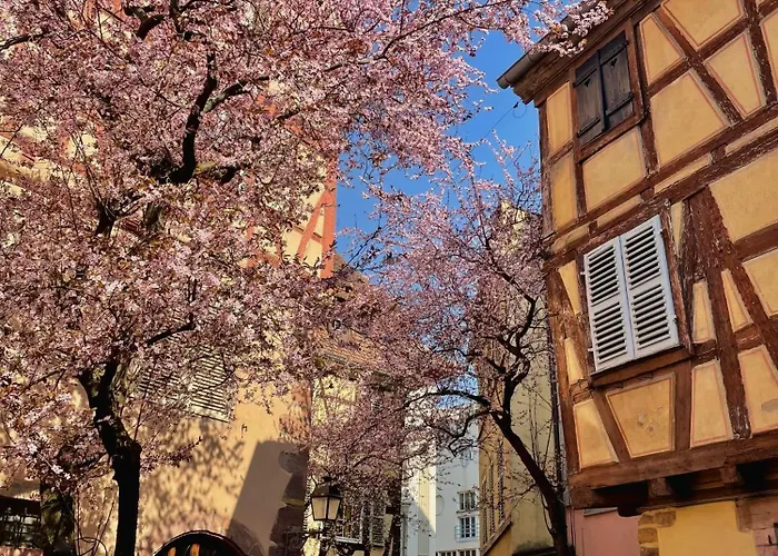 Travel Homes - Tanneur 6, Heart Of Petite Venise * Colmar